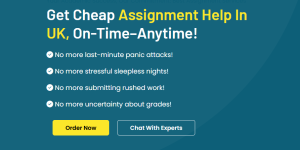 Assignment On Time